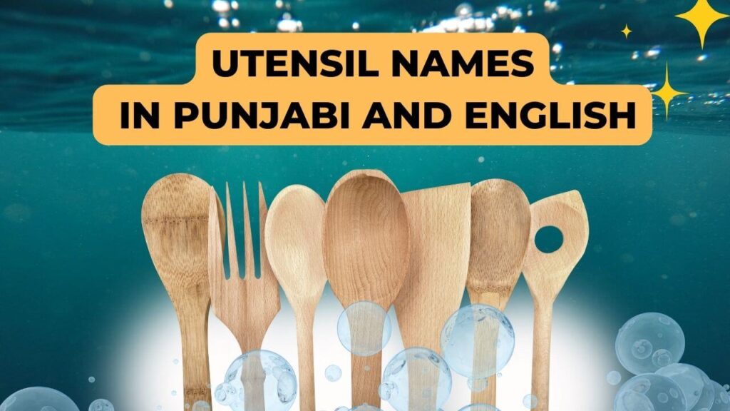 Utensil Names In Punjabi And English Trend Punjabi